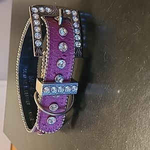 Beautiful dog collar
